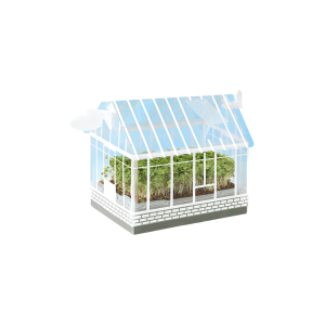 Sow N Grow Green House Seeders Kit