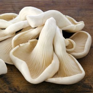 Oyster Mushrooms(Fresh) 500g (PRE-ORDER ONLY)
